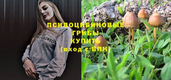 СК Белокуриха
