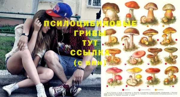 амф Беломорск