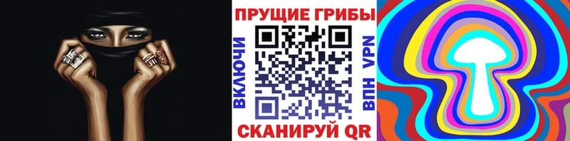 KRAKEN зеркало  Валуйки  Псилоцибиновые грибы GOLDEN TEACHER 