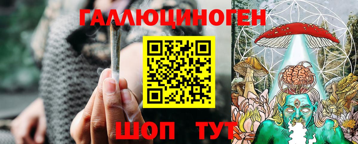 Псилоцибиновые грибы Cubensis Валуйки