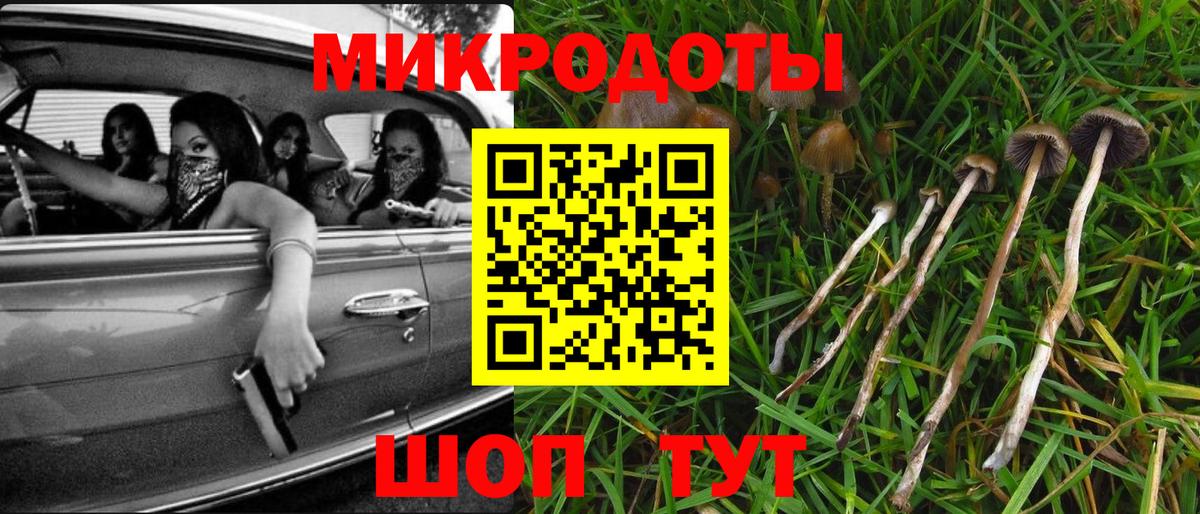 Валуйки  Псилоцибиновые грибы Psilocybe  Вход с VPN 
